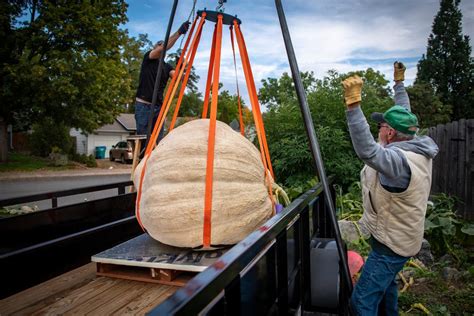 skid steer pumpkin|brad bledsoe pumpkin.